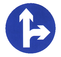 直行和向左转弯( 或直行和向右转弯) 标志